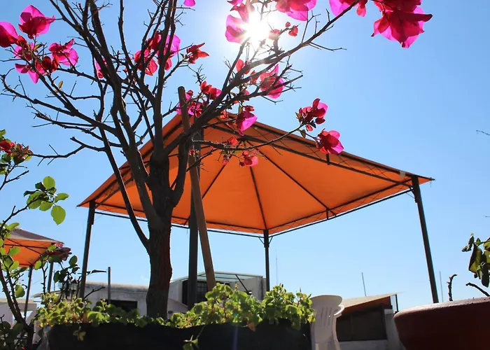 Hotel Oaxaca Magico