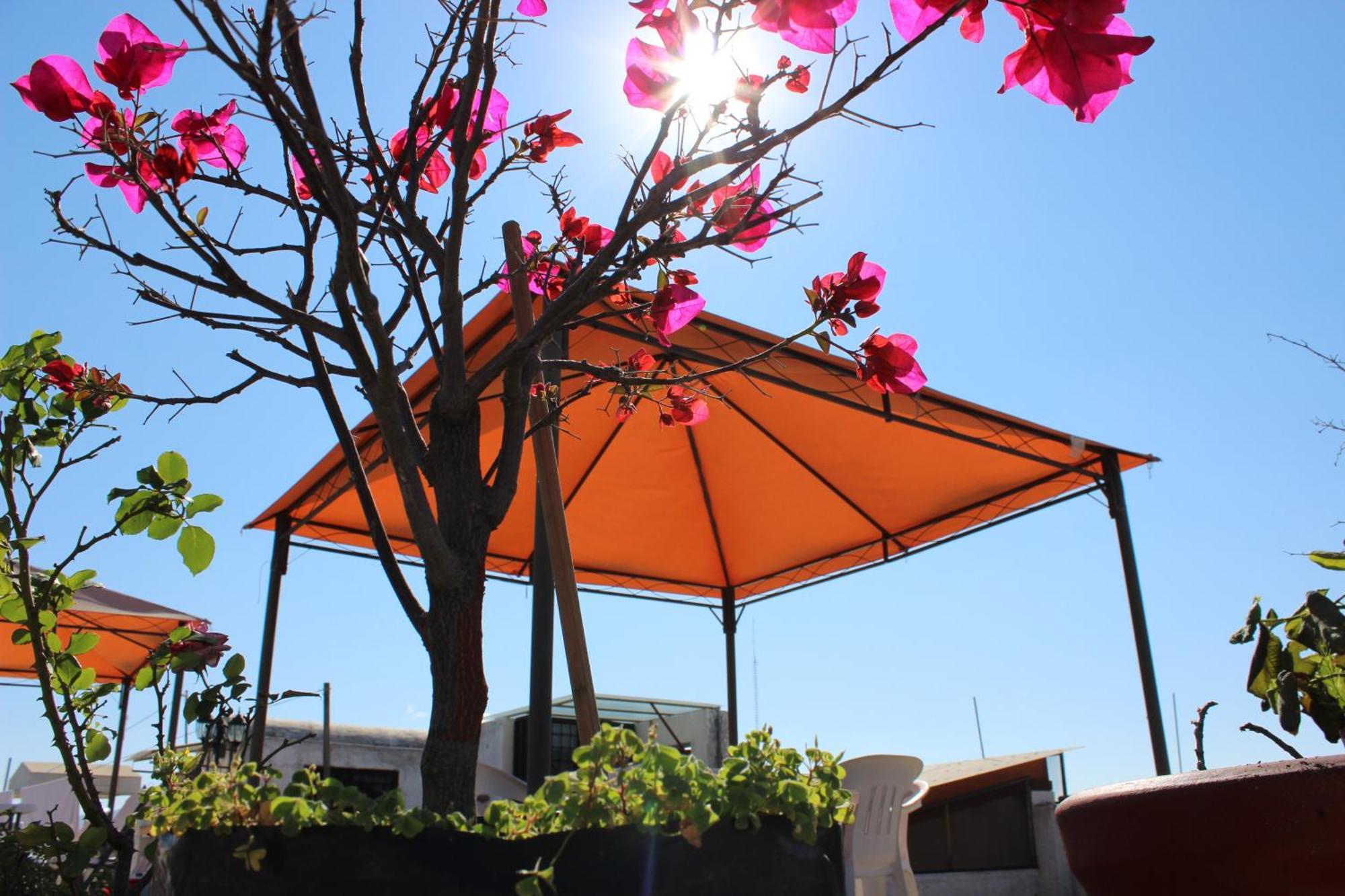 Magico Hotel 3*